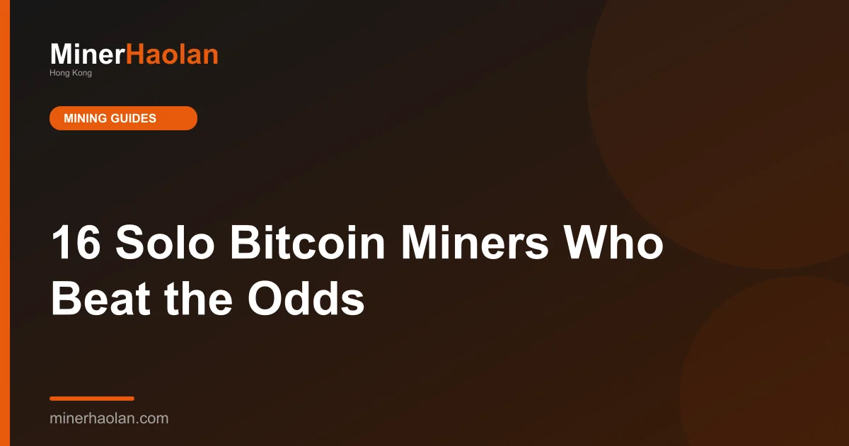 16 Solo Bitcoin Miners Who Beat the Odds