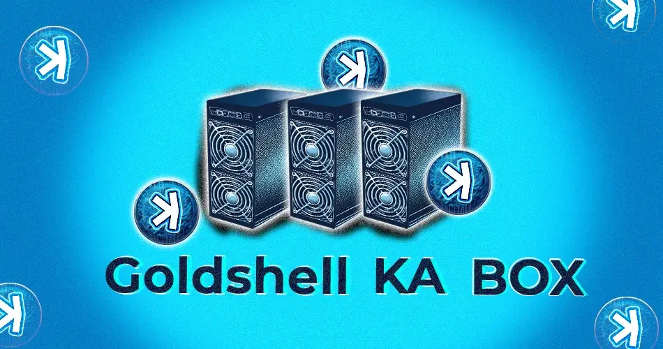 The Detailed Overview on Goldshell KA Box