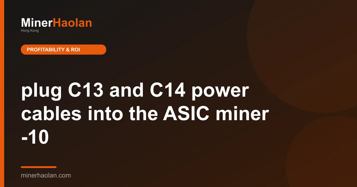 plug C13 and C14 power cables into the ASIC miner -10