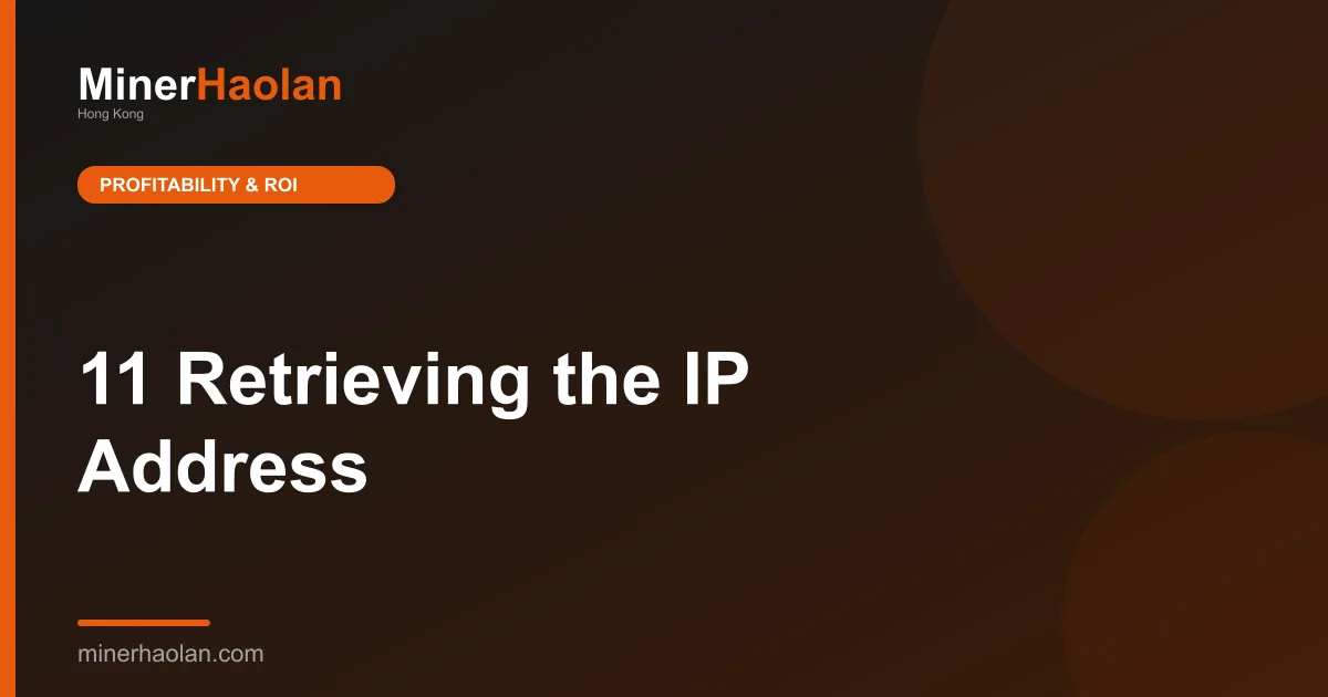 11 Retrieving the IP Address