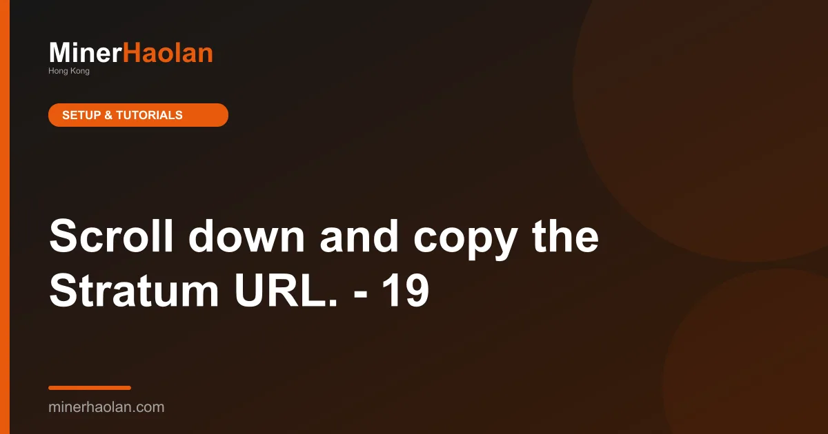 Scroll down and copy the Stratum URL. - 19