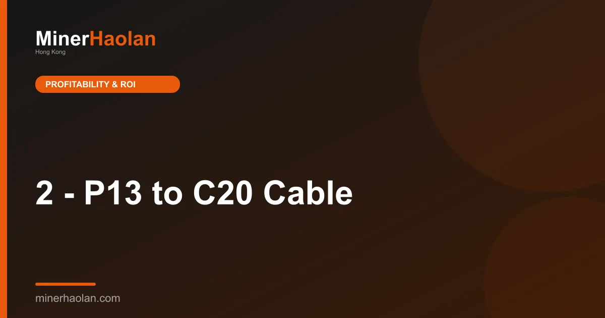 2 - P13 to C20 Cable