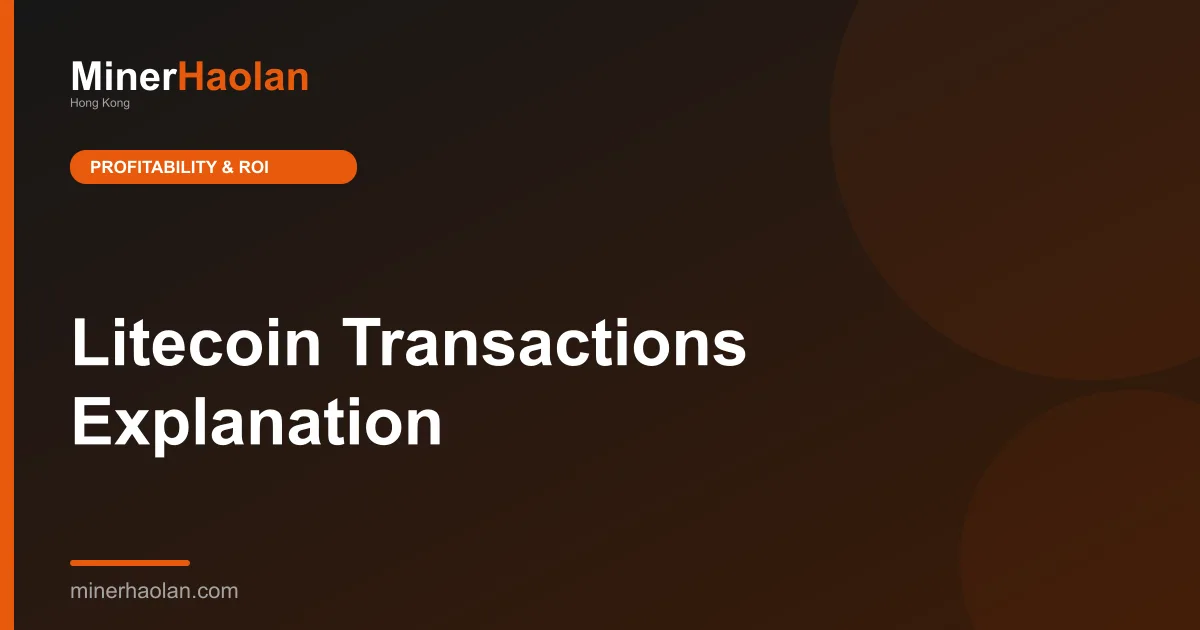 Litecoin Transactions Explanation