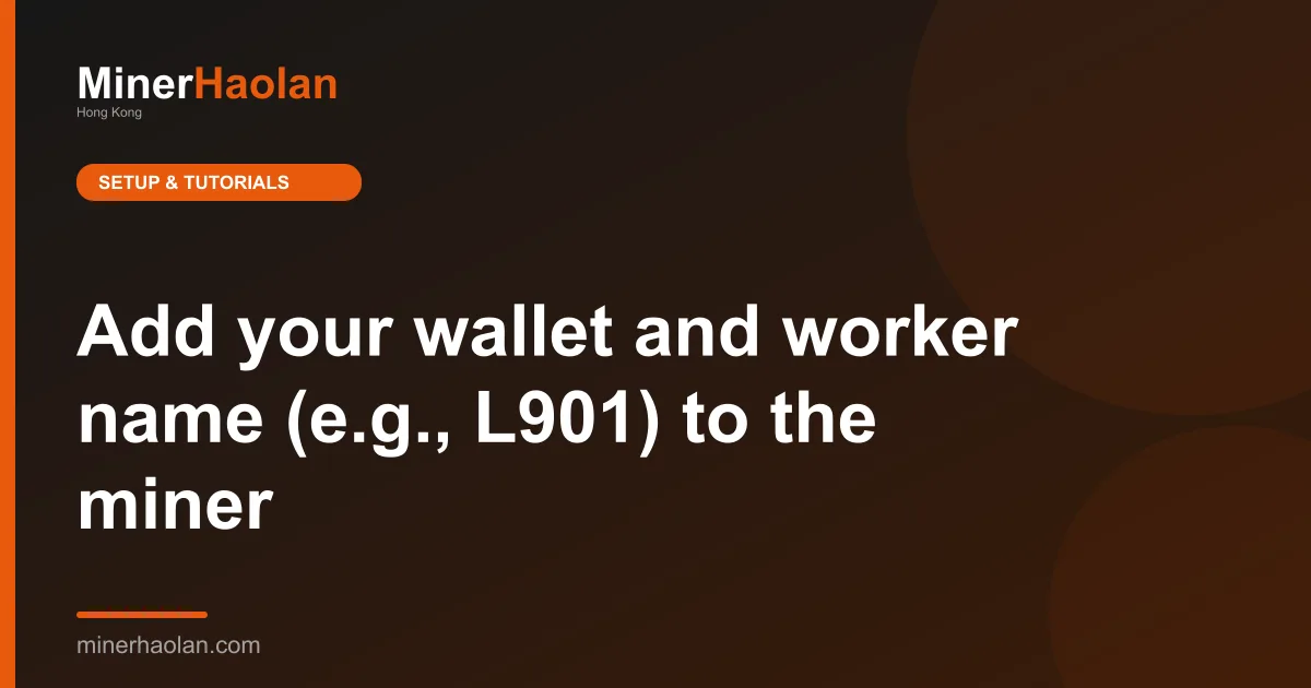 Add your wallet and worker name (e.g., L901) to the miner's name. - 20