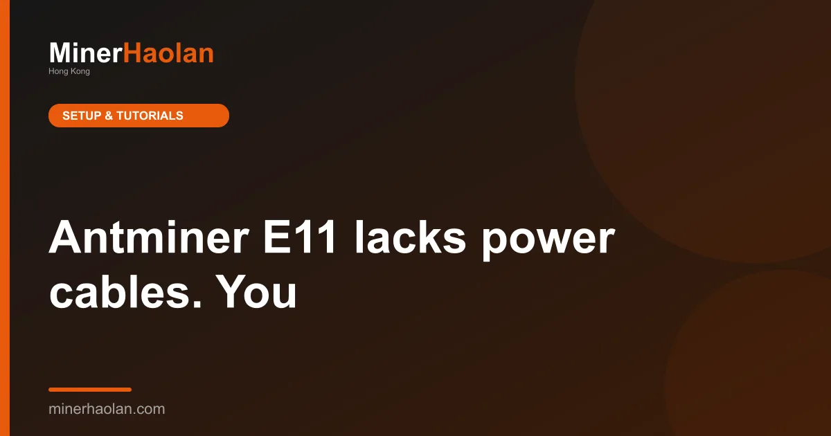 Antminer E11 lacks power cables. You'll need two C-13 to C-14 cables for its dual inputs - 7