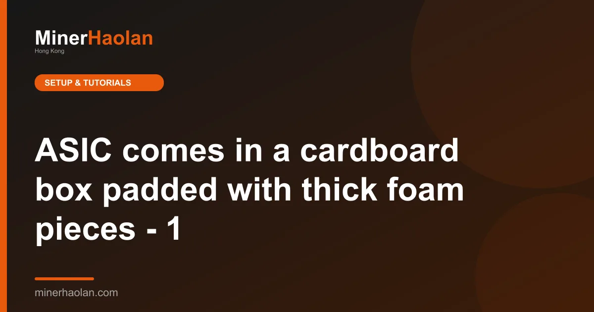 ASIC comes in a cardboard box padded with thick foam pieces - 1