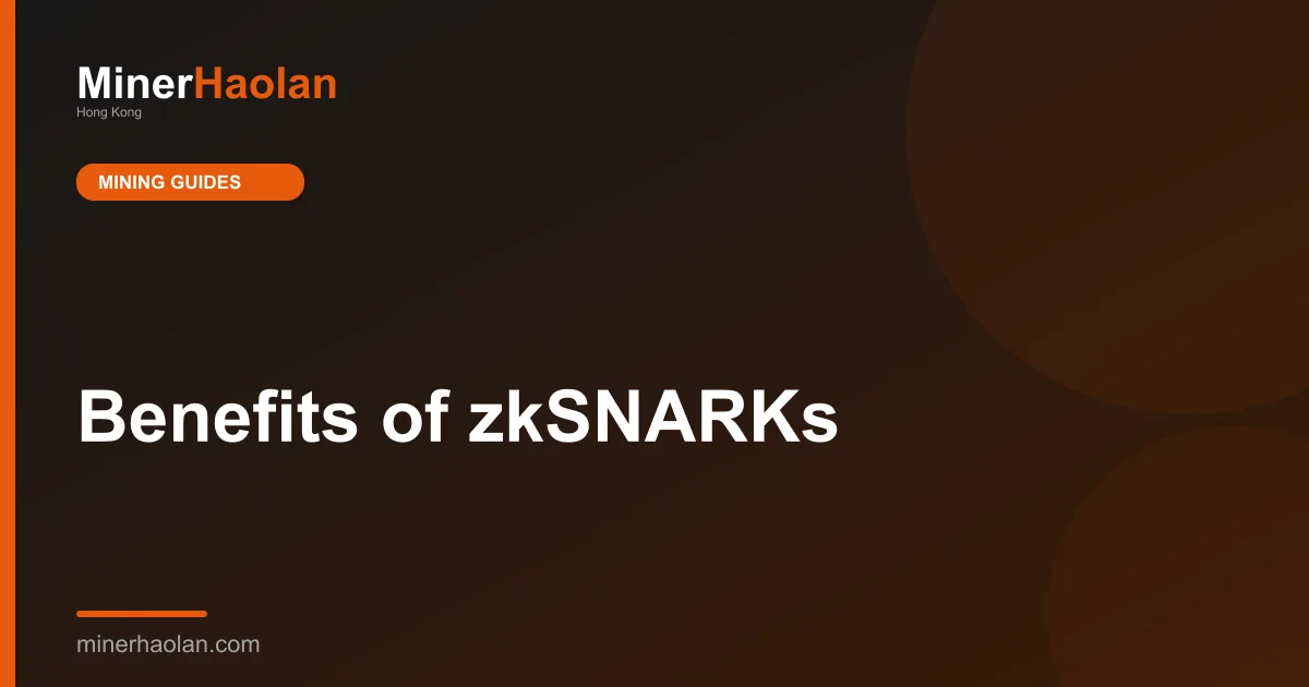 Benefits of zkSNARKs