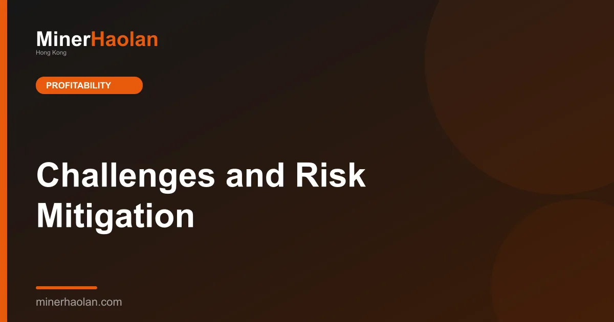 Challenges and Risk Mitigation