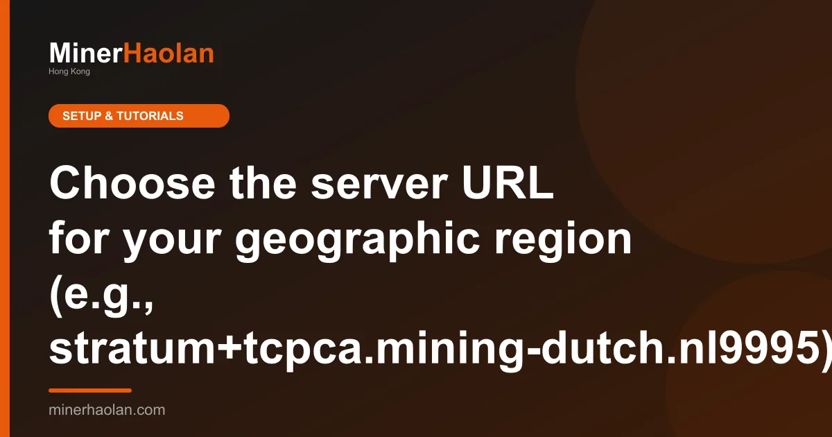 Choose the server URL for your geographic region (e.g., stratum+tcpca.mining-dutch.nl9995).