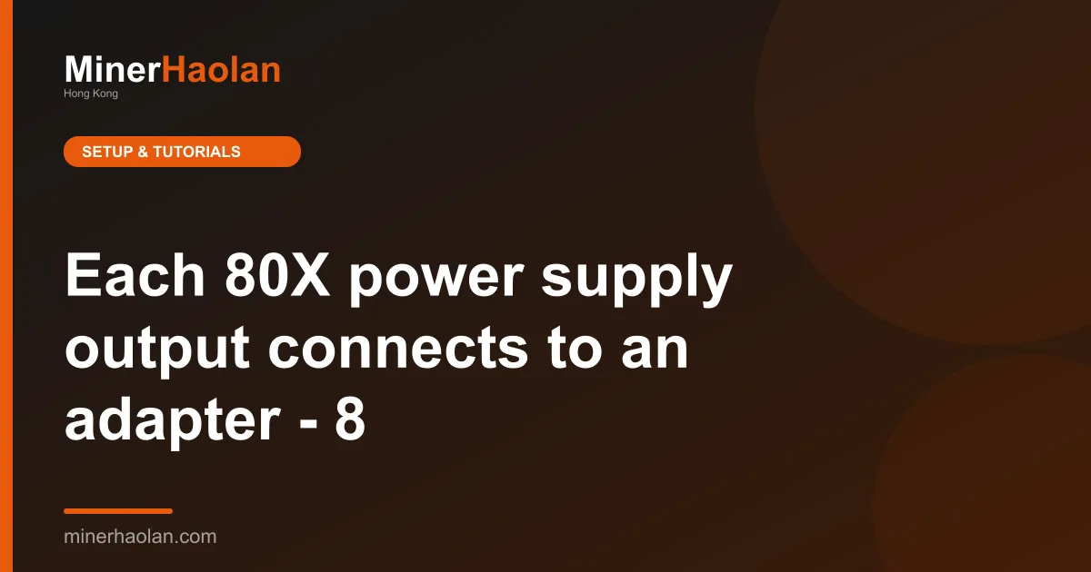 Each 80X power supply output connects to an adapter - 8