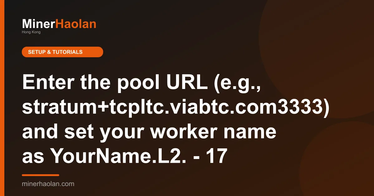 Enter the pool URL (e.g., stratum+tcpltc.viabtc.com3333) and set your worker name as YourName.L2. - 17
