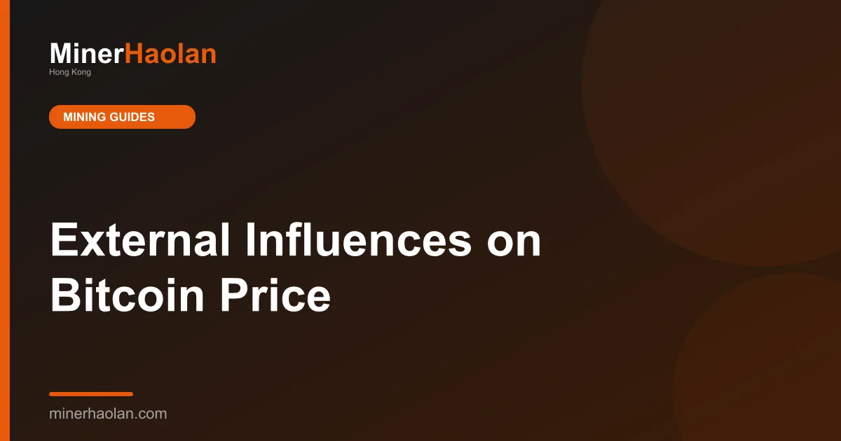 External Influences on Bitcoin Price