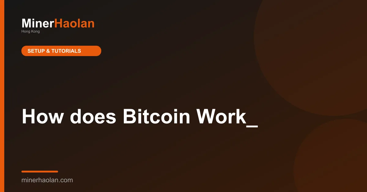How does Bitcoin Work_