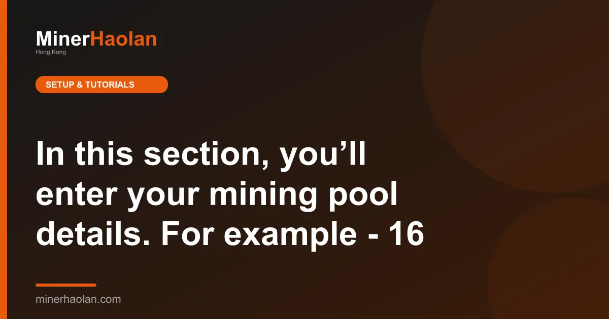 In this section, you’ll enter your mining pool details. For example - 16