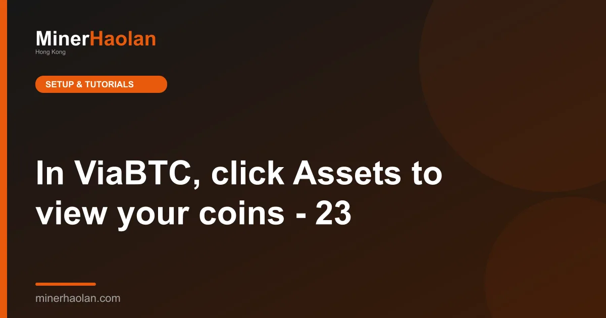 In ViaBTC, click Assets to view your coins - 23