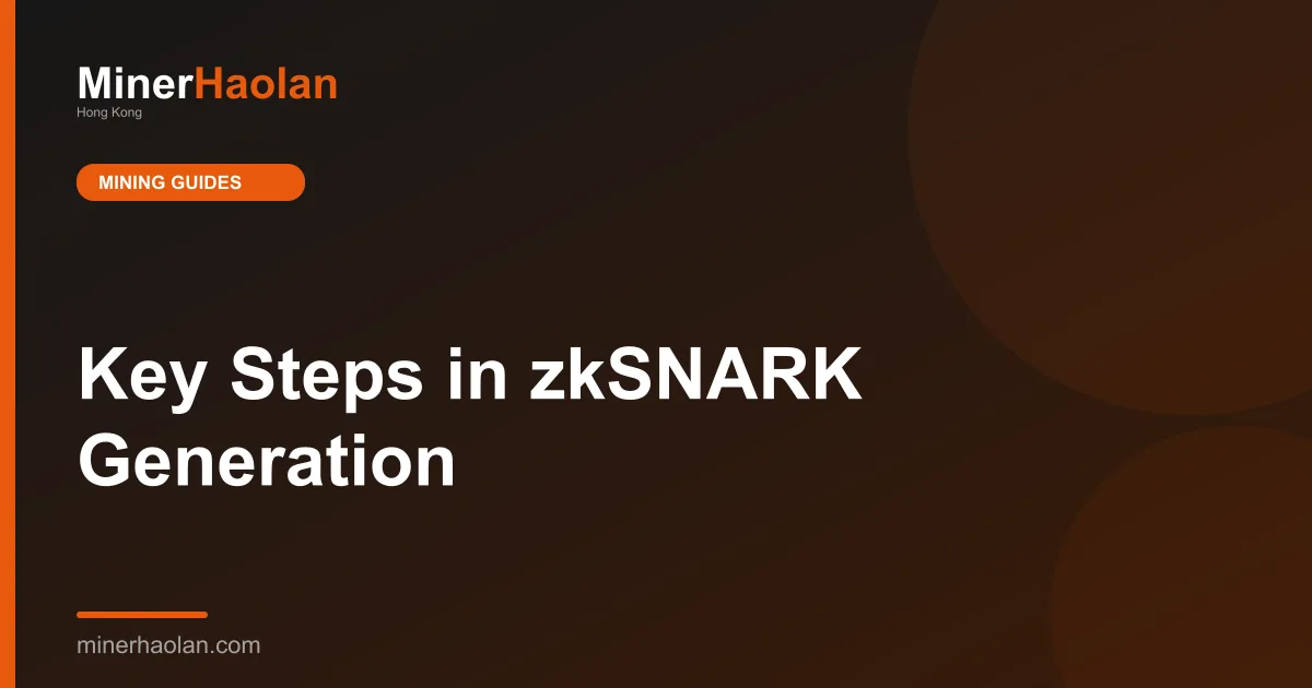 Key Steps in zkSNARK Generation