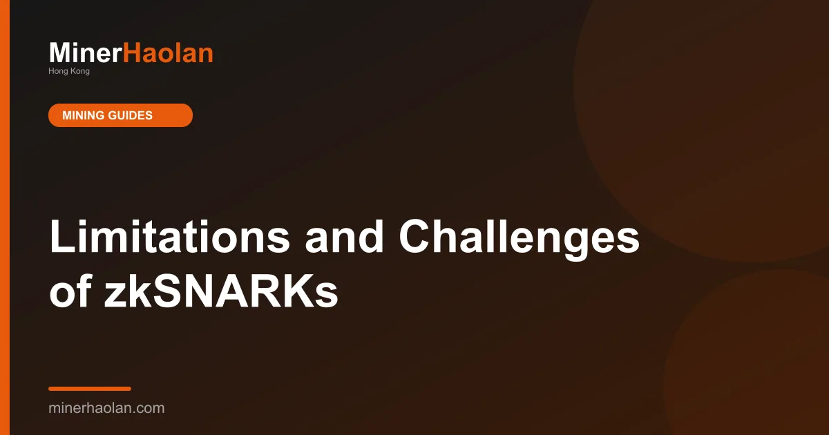 Limitations and Challenges of zkSNARKs