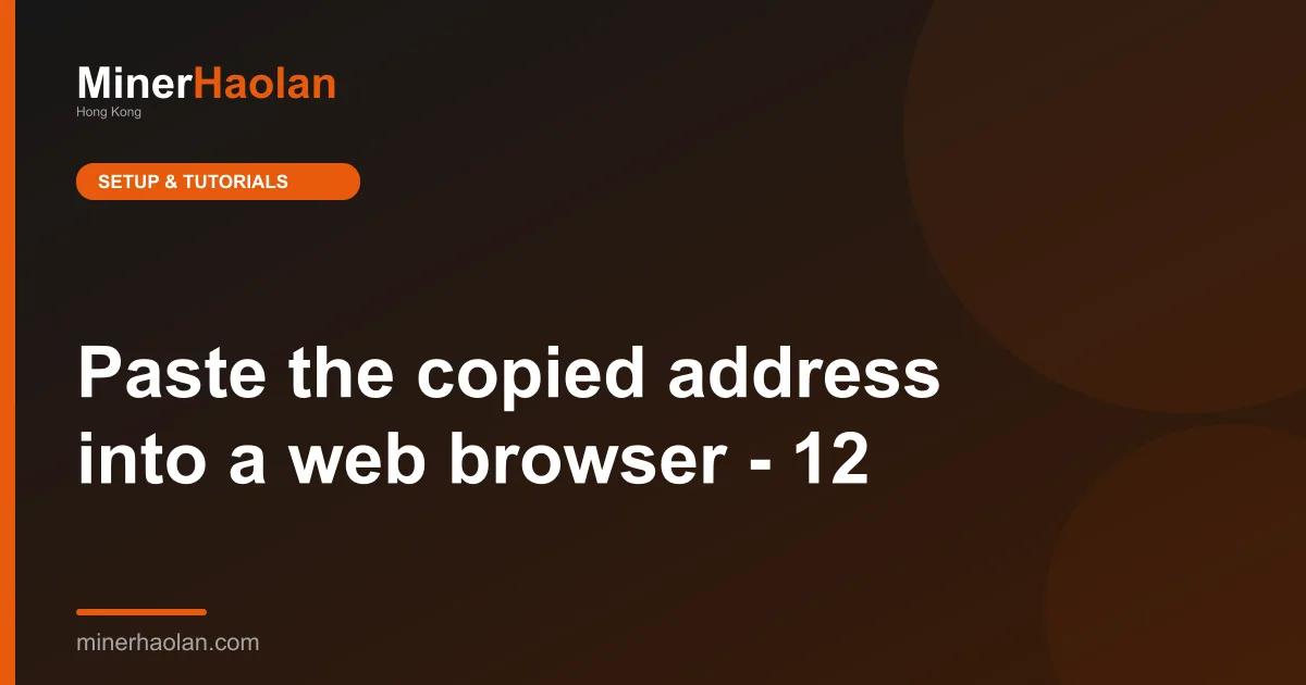 Paste the copied address into a web browser - 12