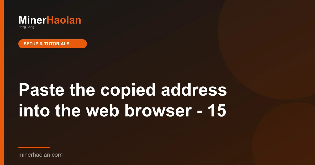 Paste the copied address into the web browser - 15