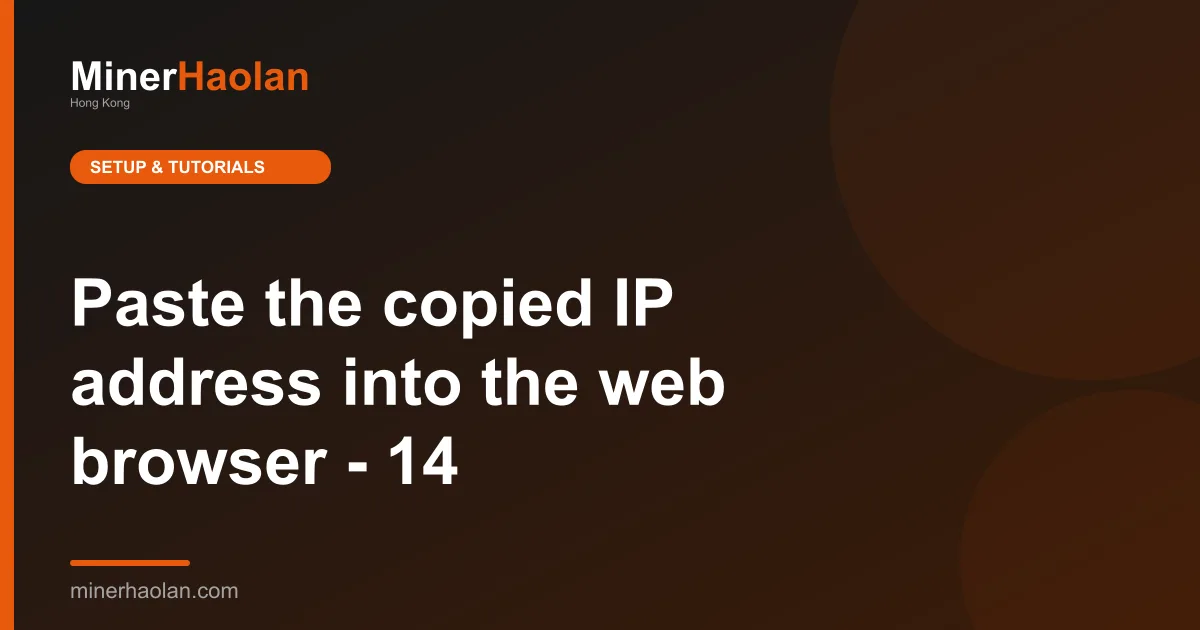 Paste the copied IP address into the web browser - 14