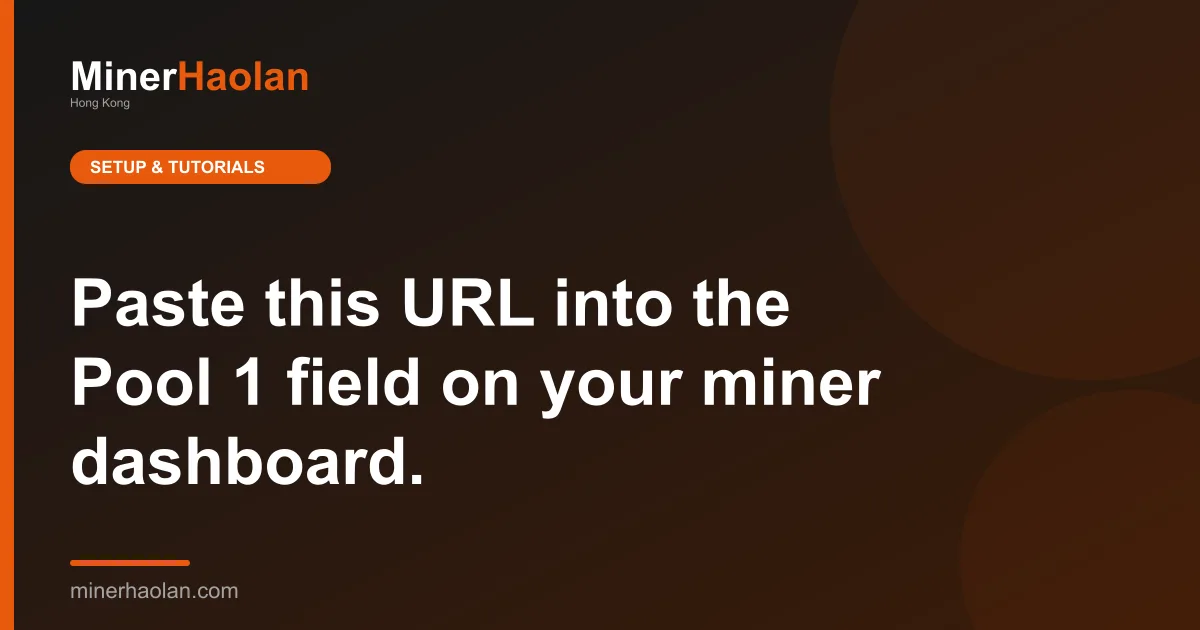 Paste this URL into the Pool 1 field on your miner dashboard.