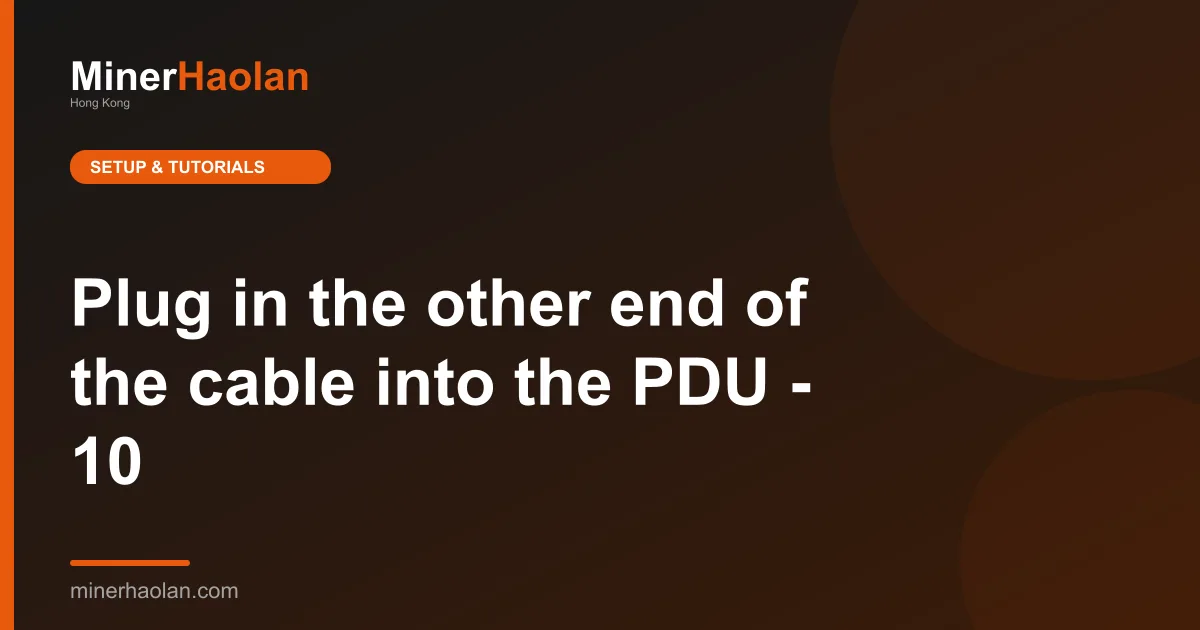 Plug in the other end of the cable into the PDU - 10