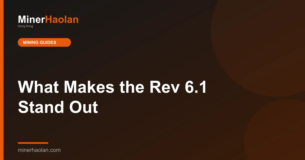 What Makes the Rev 6.1 Stand Out