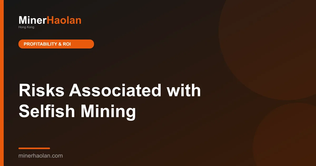 Risks Associated with Selfish Mining