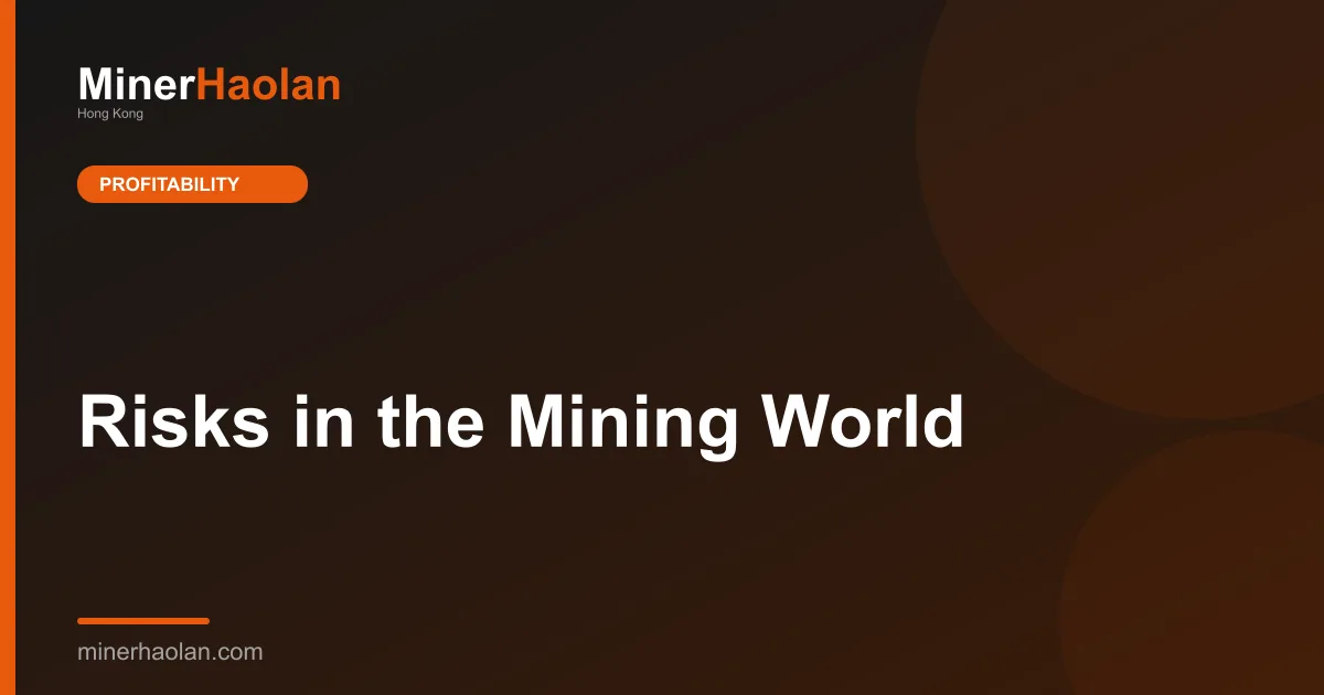 Risks in the Mining World
