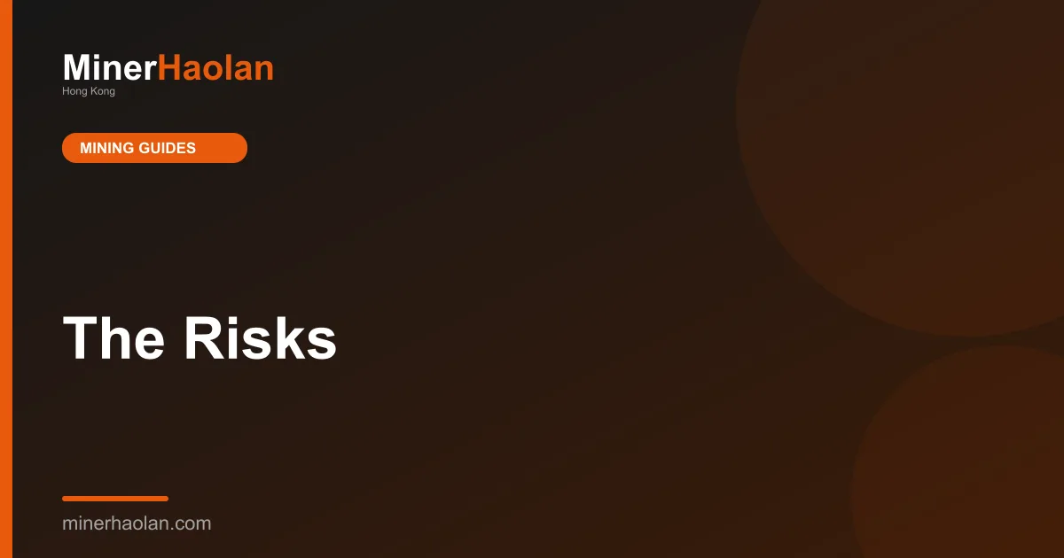 The Risks
