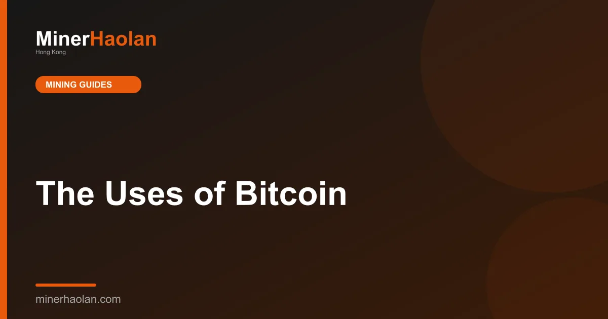 The Uses of Bitcoin