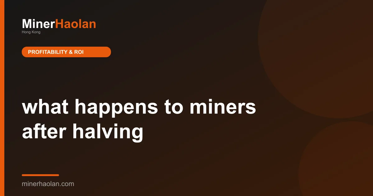 what happens to miners after halving