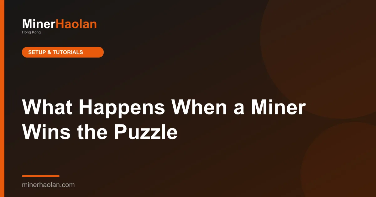 What Happens When a Miner Wins the Puzzle