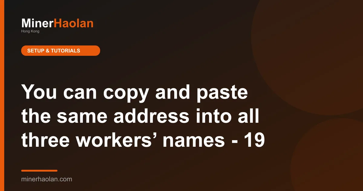 You can copy and paste the same address into all three workers’ names - 19