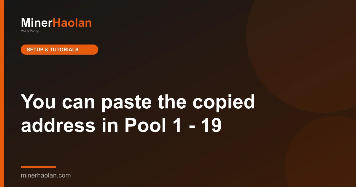 You can paste the copied address in Pool 1 - 19