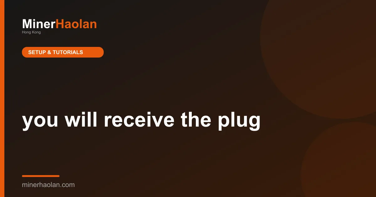 you will receive the plug