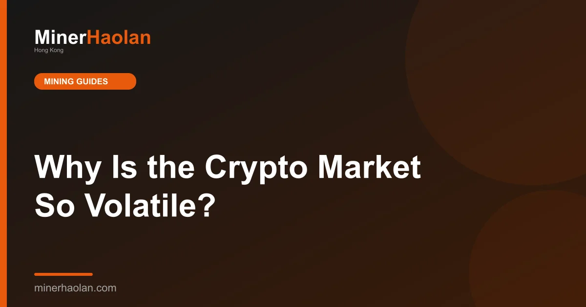 Why Is the Crypto Market So Volatile?