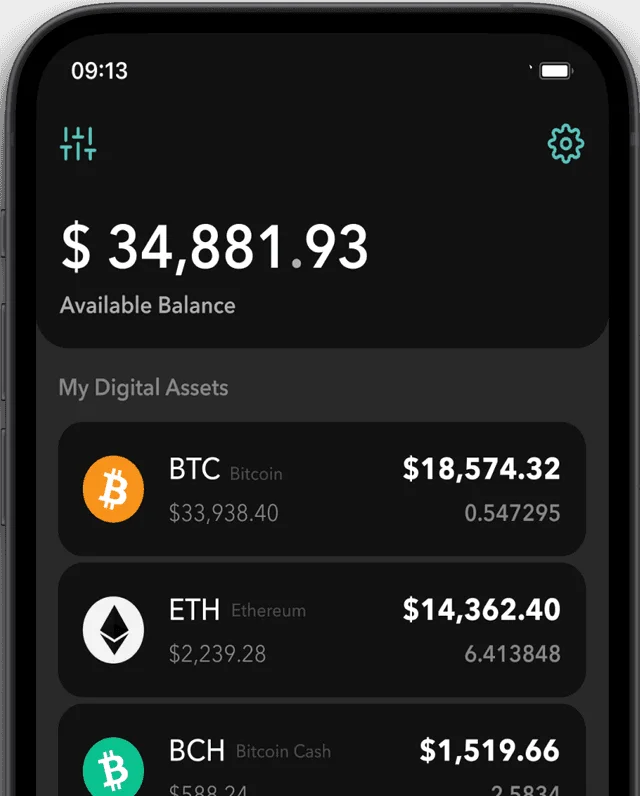 MinerHaolan Arculus Cryptocurrency Cold Storage Hardware Wallet - thumbnail 3