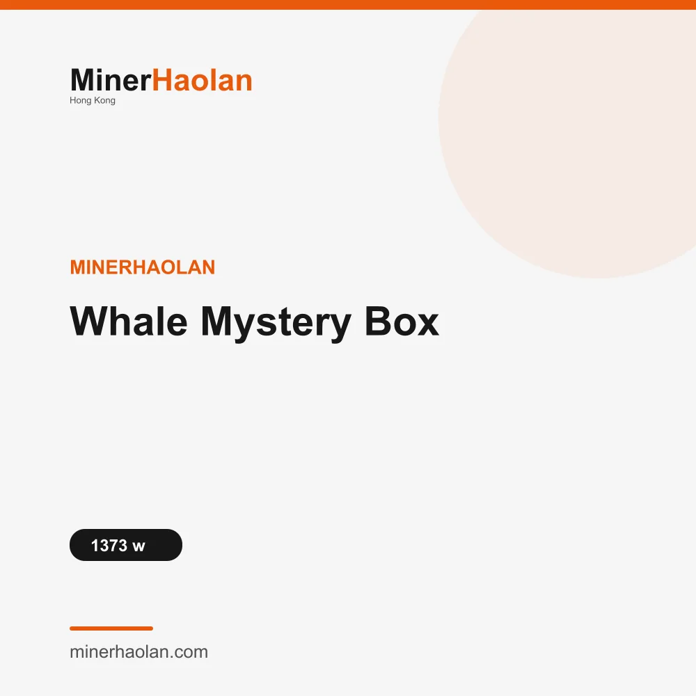 MinerHaolan Whale Mystery Box - View 1